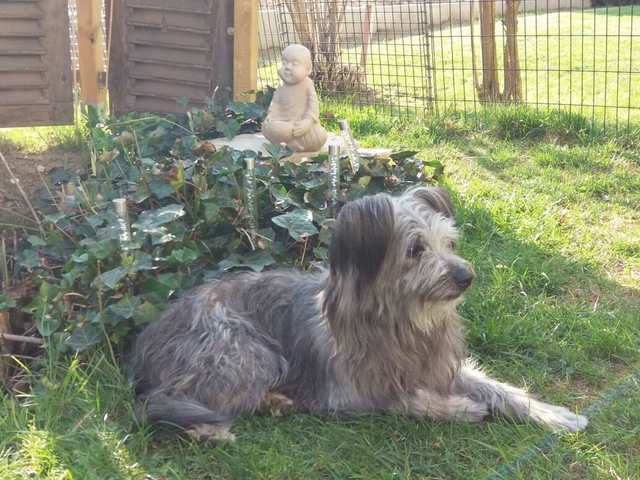 Im Frühjahr 2017 (11)